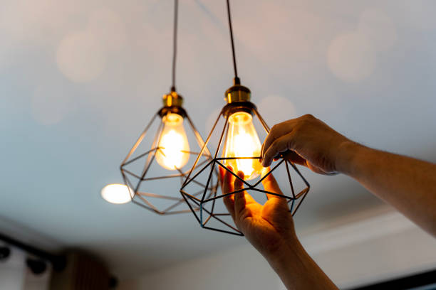 Best Electric Panel Repair  in Crockett, TX